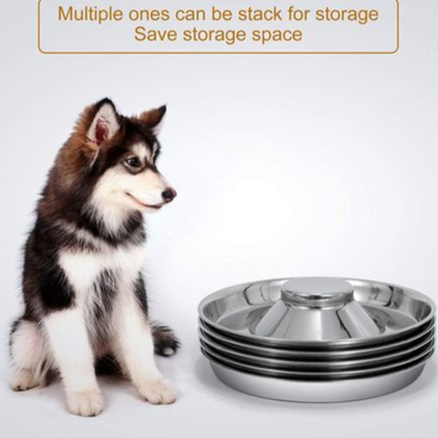Stainless Steel Puppy & Kitten Feeding Dishes - 2 Pack, 11.8