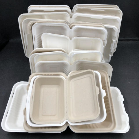 9 x 6" Lunch Box White Biodegradable Bagasse Sugarcane Food Containers BIO002 