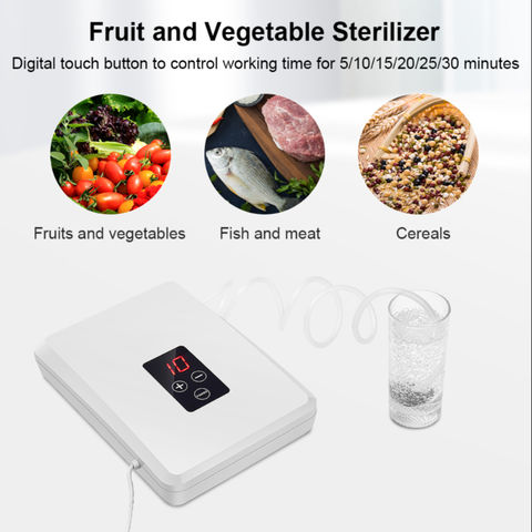 Generador de agua Ozonizador O3 Máquina 600 mg / h para el aire del hogar  Agua Frutas Verduras Limpiar