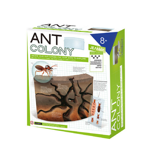 ant colonies for kids