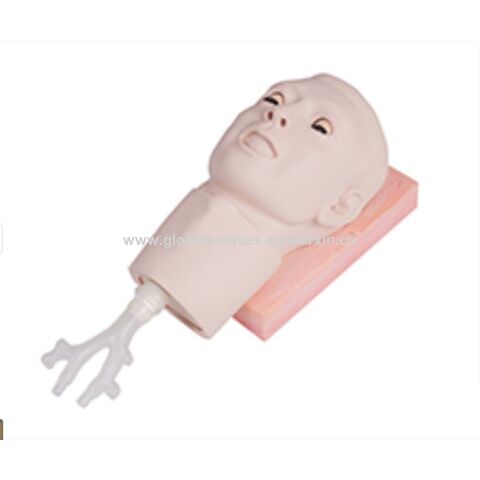 Buy Wholesale China Crico-thyroid Puncture Model & Training Simulator ...