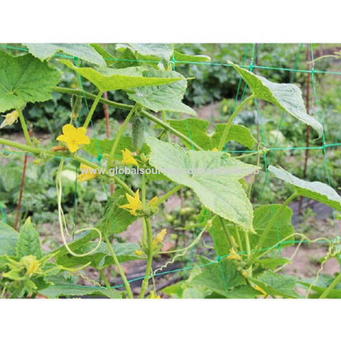 Vente en gros de Filet De Jardin auprès de fabricants, produits