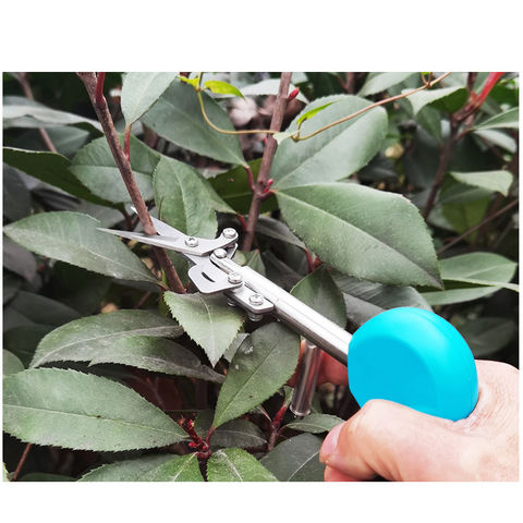 Portable Pointed Gardening Scissor 