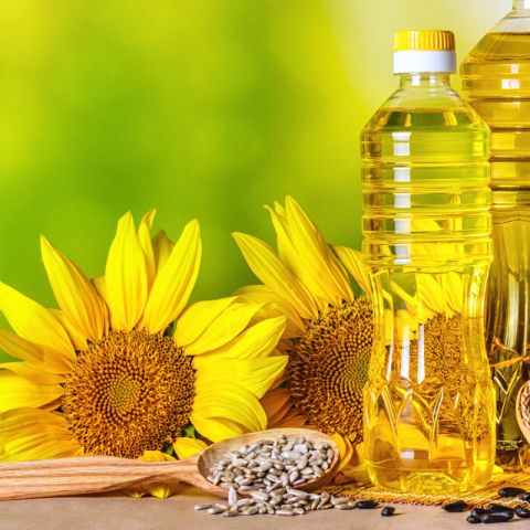 Buy Wholesale South Africa Refined Sunflower Oil - Sunflower Oil ...