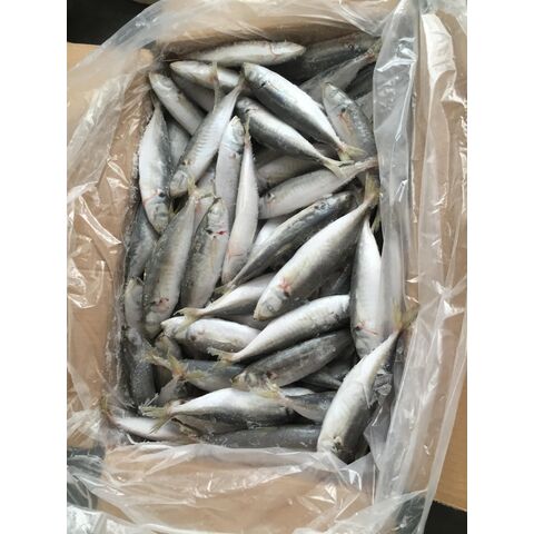 Buy Wholesale Canada Frozen Horse Mackerel Fish Whole Sale & Horse ...