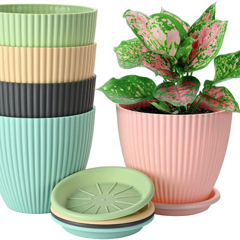 5 Packs 6 inch Plastic Planters with Saucers Modern Decorative Garden plant  pots