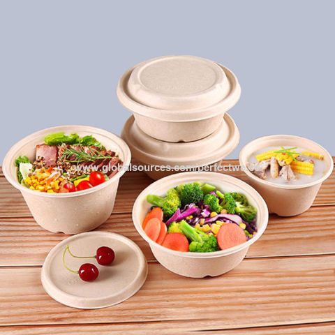Wholesale 16oz Disposable Sugarcane Fresh Fruit Salad Container Bowl with  Lid