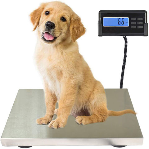 Timbangan binatang Digital, timbangan Stainless Steel 300 KG tugas berat, timbangan peternakan Digital, timbangan anjing hewan peliharaan besar for sale at factory direct price