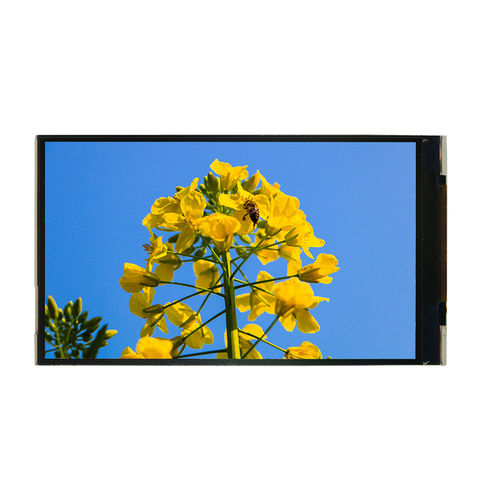 home lcd panel manufacturer