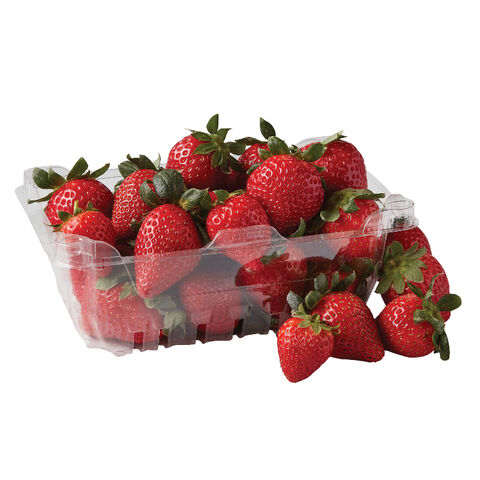 Buy Wholesale Canada Quality Fresh Strawberry Fruit Brands Fresh ...