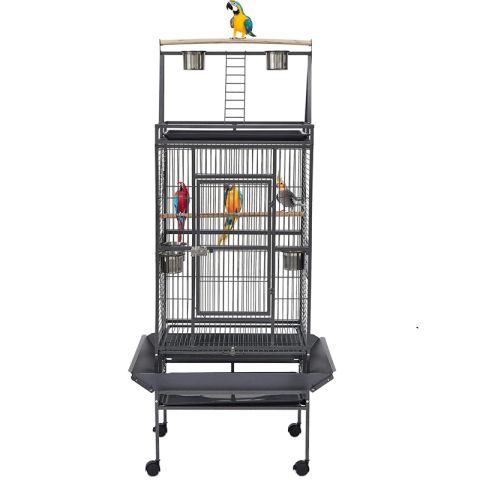 Cage pour perroquet : spacieuse, sûre et polyvalente