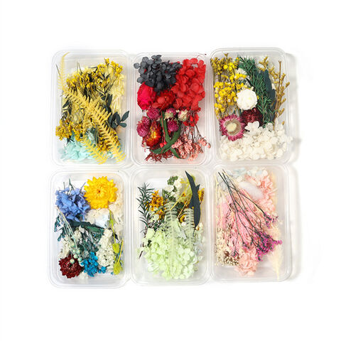 Buy Wholesale China Dried Flowers And Plants Packaging Material 2022 ...