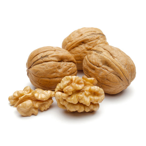 Buy Wholesale Canada Walnuts & Walnuts at USD 350 | Global Sources