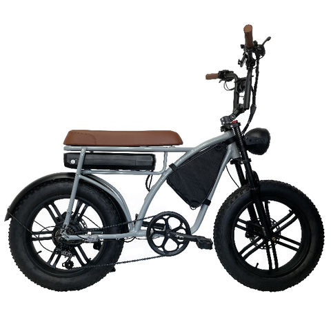 oem electric bike