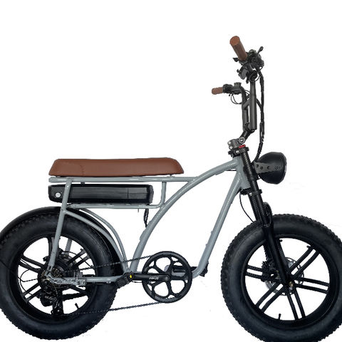 Electric Bike at USD 699 