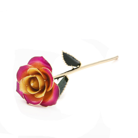 Buy Wholesale China Colored 24k Gold Trimmed Real Rose Flower For