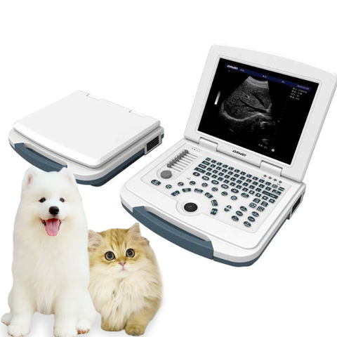 Achetez en gros Scanner Vétérinaire à Ultrasons, Chine et échographie à  1099 USD