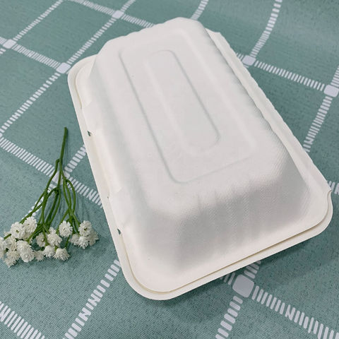 Biodegradable Container Food Biodegradable Bento Box Compostable ...