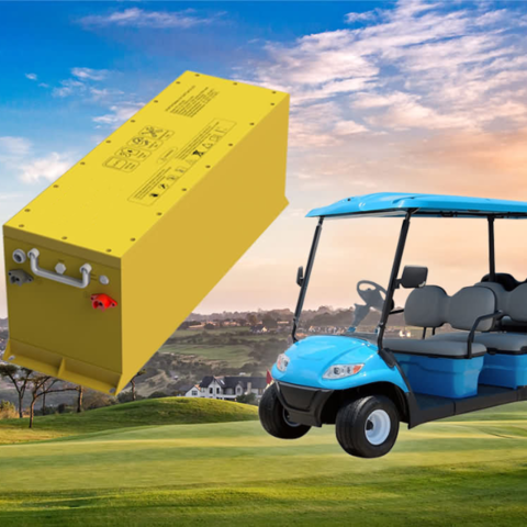 EV & Golf Cart Batteries