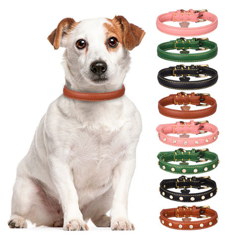 Buy Wholesale China Pet Collars, Multi Purpose Protector Case Pet ...