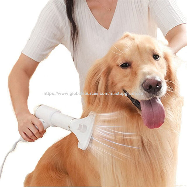 Buy China Wholesale Pet Dryer Dog Grooming Blow Massage Comb Hair 2 In ...