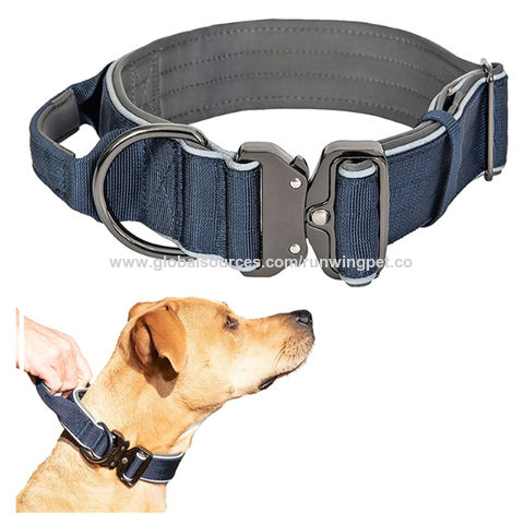 DG Catiee Laisse solide pour chien, collier pour chien avec laisse et  chaîne en métal sans danger pour les animaux domestiques, réglable  (Longueur + harnais 1,7 m, 4 mm) : : Animalerie
