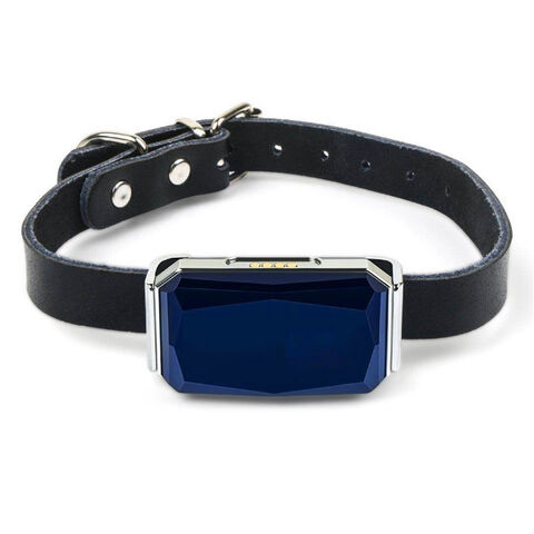Waterproof GPS PET Tracker - Location & Activity, Unlimited Range & Works with Any Collar for sale at factory direct price