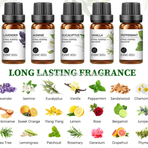 Good Smelling Fragrance OEM Wholesale 100% Pure Aromatherapy