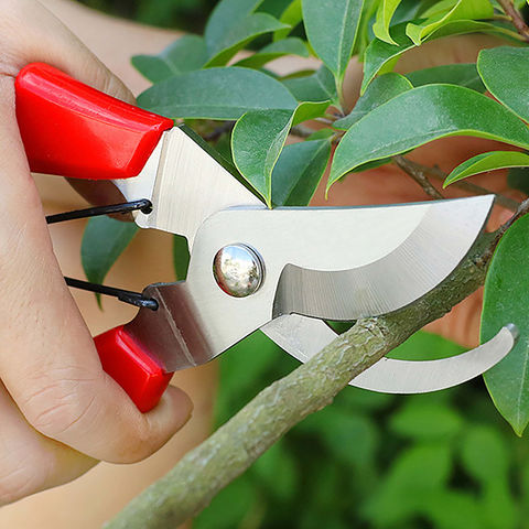 Wholesale Durable 420-Sharp Plant Trimming Scissors