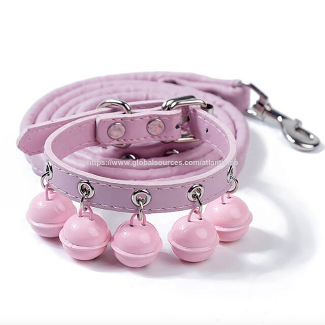 Laisse pour animaux de compagnie, corde réfléchissante en nylon pour animaux de compagnie, laisse pour petit chien, fournitures pour animaux de compagnie