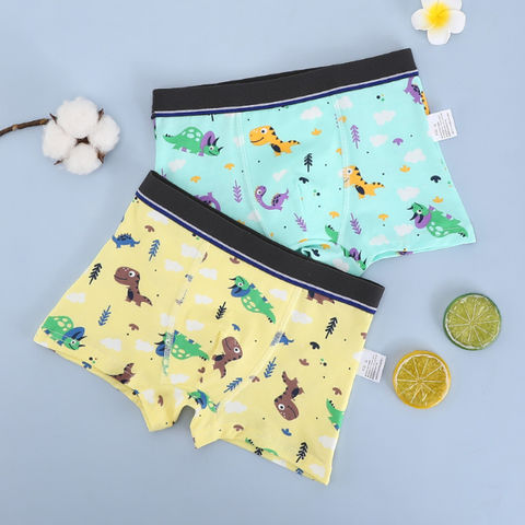 3-Pack All Over Print Cute Car Pattern Breathable Cotton Briefs Baby Boys -  China Underwear and Boxers price