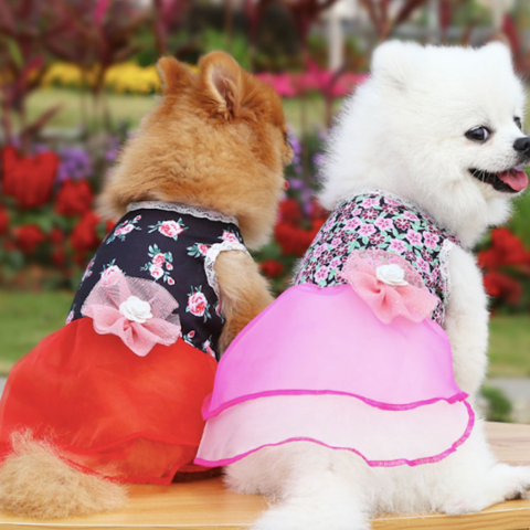 fancy dog dresses for sale