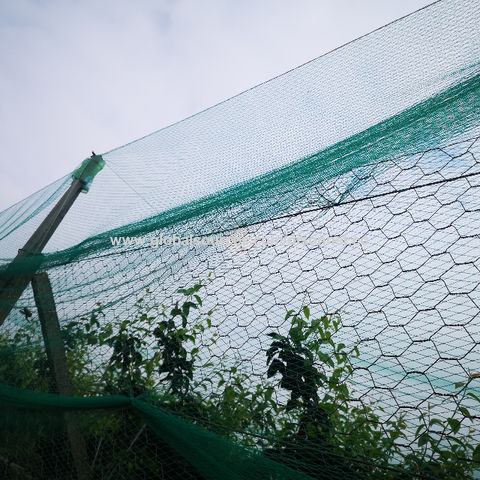 Buy China Wholesale Home Bird Netting For Garden Plant Netting Mesh Net  Protect Fruit Trees & Reusable Garden Netting Plants Barrier $2.7