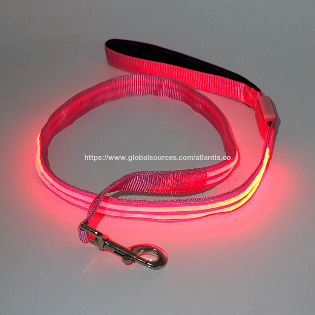 Laisse pour animaux de compagnie, cordelette en nylon réfléchissante à LED, laisse pour petit chien, collier pour animaux de compagnie, fournitures pour animaux