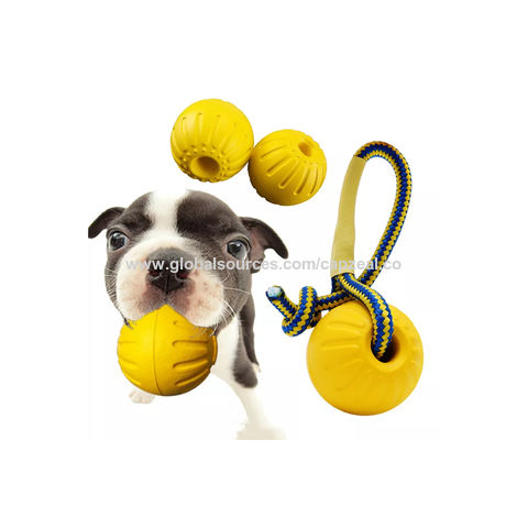 Buy Wholesale China Dog Toys Training Dog Ball Bite Pull Ring Pet