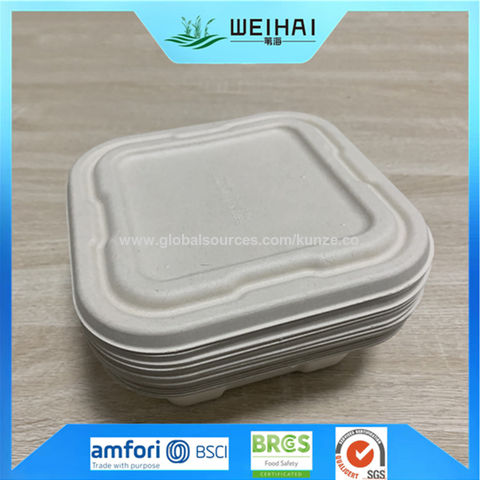 Illustration of Bioplastic Disposable Dinnerware Sets With Lids