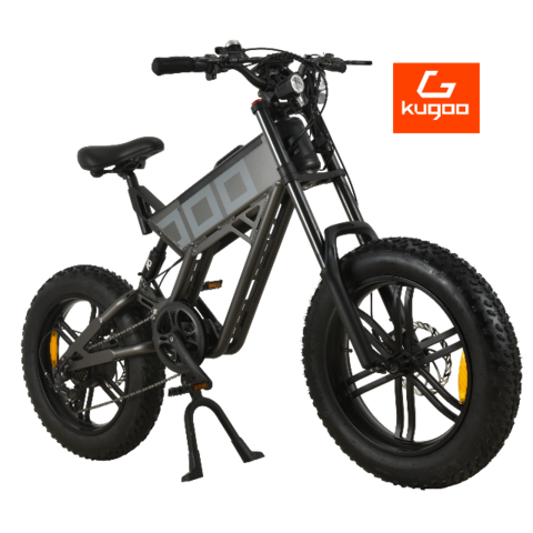buy and sell electric bike