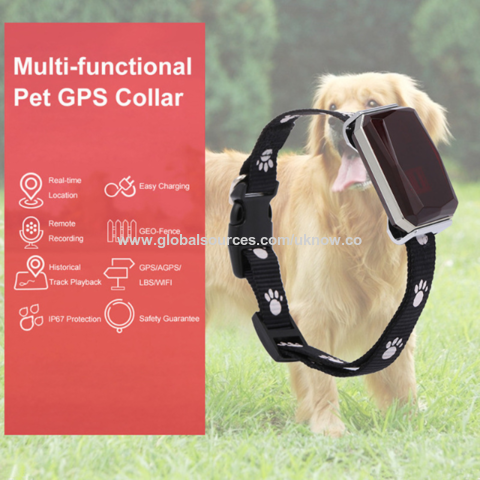 Pet GPS trackers, Pet positioning collar multifunctional dog tracker lbs intelligent tracking for sale at factory direct price