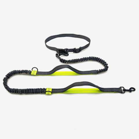 Hundeleine für Outdoor-Laufaktivitäten, Reflektierend, Doppelt, Einziehbar - Großhandel für Haustierbedarf