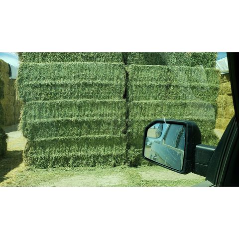Buy Wholesale South Africa Alfalfa Hay For Animal Feed At Wholesale Price &  Alfalfa Hay For Animal Feed at USD 90 | Global Sources