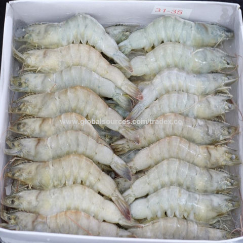 Buy Wholesale United States Frozen Shrimp Brands With Good Factory ...