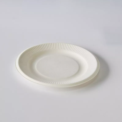 Buy Wholesale China Paper Plate 100% Sugarcane Bagasse Paper Plate ...