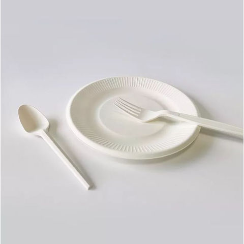 8 Disposable Plates