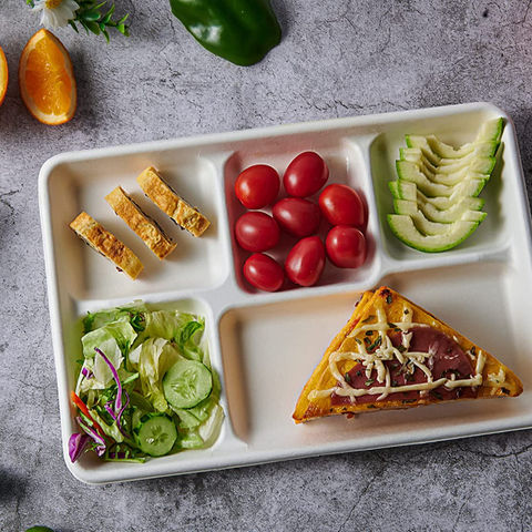 Bulk Buy China Wholesale Wholesale Biodegradable Food Tray Disposable  Plates 5 Compartment Trays For School Lunch Tray $0.01 from Timeco  (Shanghai) Industrial Co.Ltd