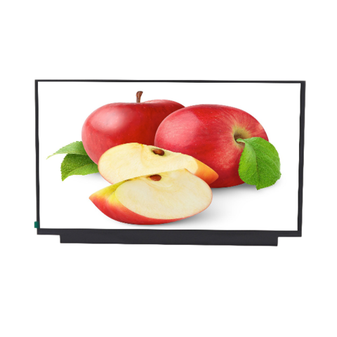 Dalle écran 17.3" LED NV173FHM-N41 Full HD 1920x1080 - 30 Pins EDP - Neuf - Garantie 1 An