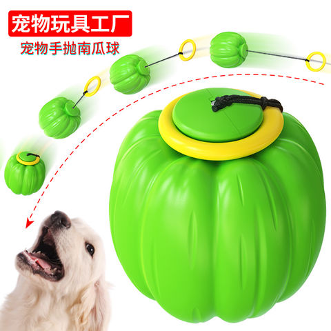 Buy Wholesale China Pet Supply Squeaky - Ready Set Fetch Dog Toy