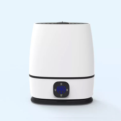 Buy Wholesale China Smart Constant Humidity Purifying Air Silver Ion 