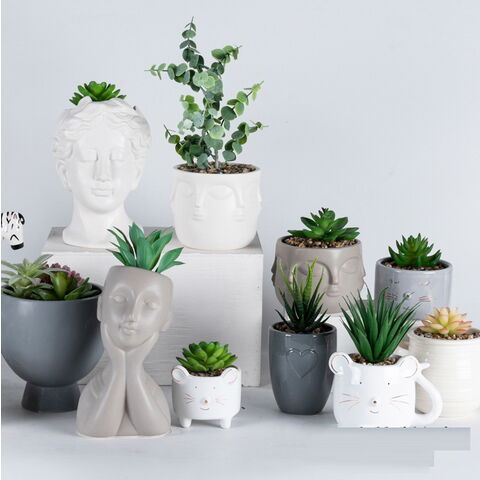 https://p.globalsources.com/IMAGES/PDT/B1194688941/planter-pots-ceramic-pots-succulent.jpg