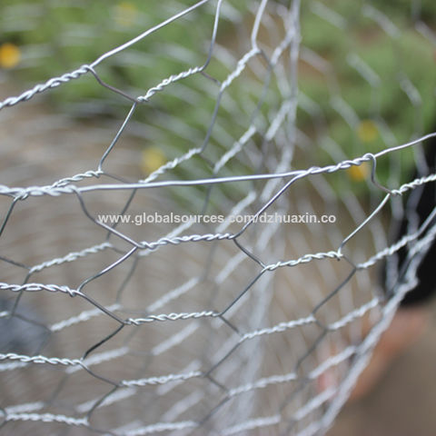 Hot Dipped Galvanized Hexagonal Wire Mesh Chicken Net with Low Price -  China Hexagonal Wire Netting, Wire Netting