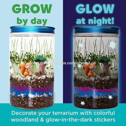 10 Herb Garden Kit Indoor Herb Garden Starter Kit For